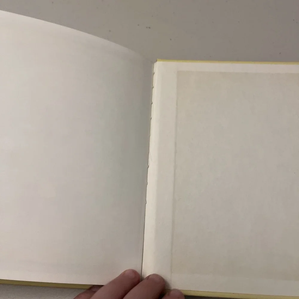 Riggly's Rainbow 1982 Book  Ann Buzenberg Current Inc Vintage Kid's Book
